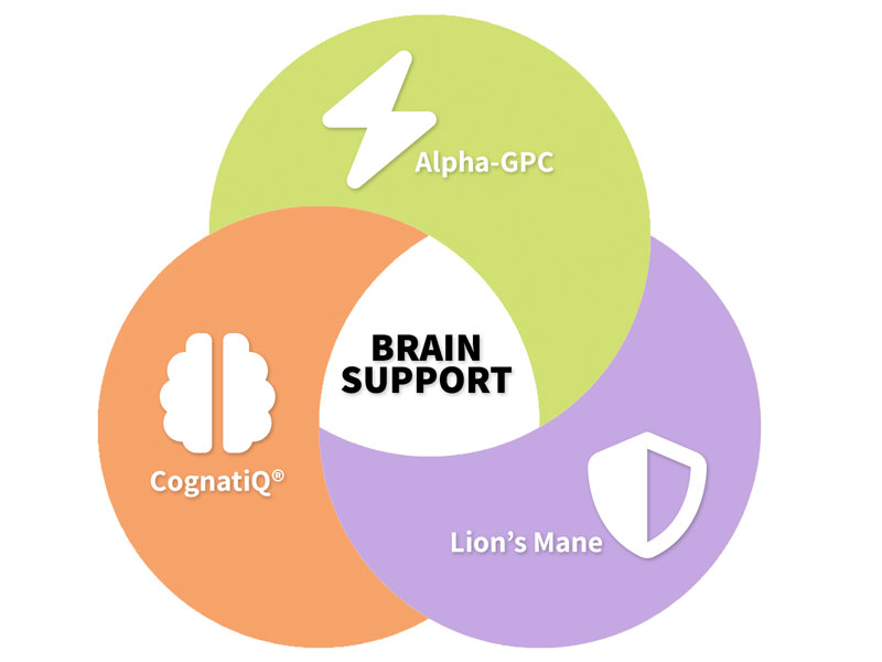 Brain-support diagram: CognatiQ, Alpha-GPC, and Lion's Mane combine for targeted brain support