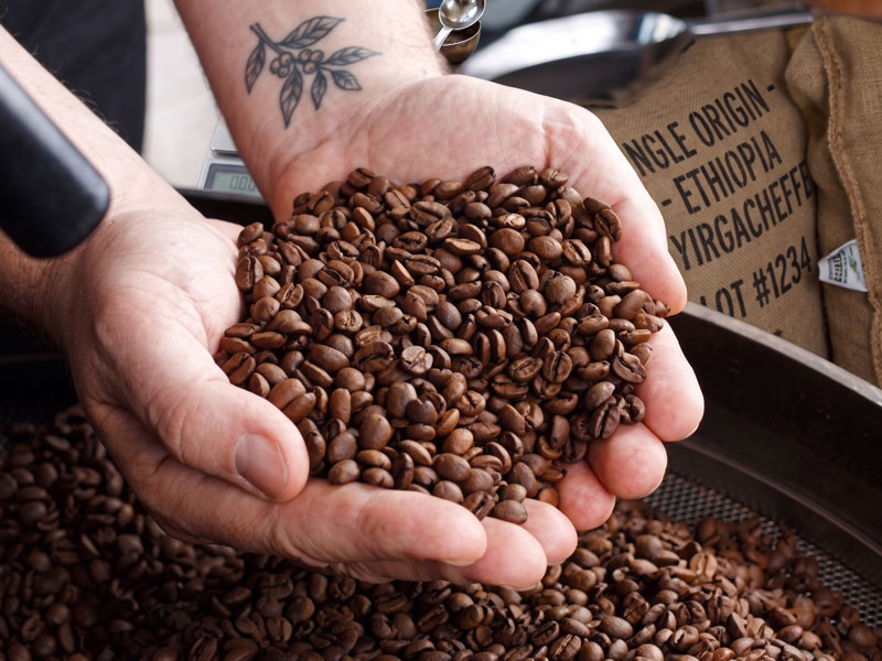 A clean cup of Lifeboost coffee, defined by what isn't in it
